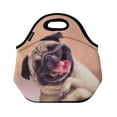 thumbnail image 2 of ALLYDREW Insulated Neoprene Lunch Bag Zipper Lunch Box Tote Baby Bottle Bag, Happy Pug, 2 of 6