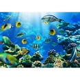 thumbnail image 2 of wall26 - Photo of a Tropical Fish on a Coral Reef - Removable Wall Mural | Self-Adhesive Large Wallpaper - 66x96 inches, 2 of 5