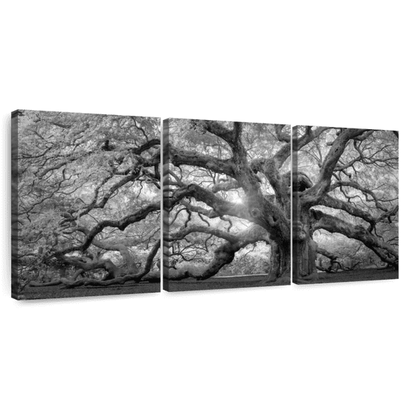 Elephant Stock Monochrome Angel Oak Tree Wall Art - Horizontal Multi Panel Canvas - Living Room Wall Decor - Floral And Botanical Multi Panel - Black And Gray Decor - 26" x 12"