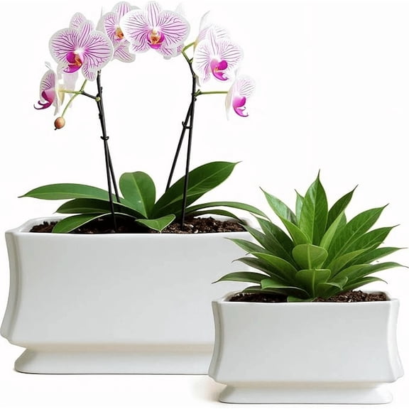 30 x 22 x 15.5cm Square White Ceramic Flower Pot (2 Count)