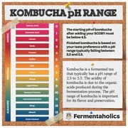 pH Test Sticks, Acid Range 0-6 - 100 pack