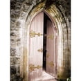 thumbnail image 3 of Lewis, Sheldon 19x24 Black Modern Framed Museum Art Print Titled - Soft Toned Vintage Door, 3 of 5