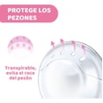 thumbnail image 3 of Chicco Conchas Recolectoras Transpirables, 3 of 5