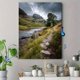 thumbnail image 4 of Qisvanset Fluffy Cat Art Canvas Print 12x16 Inch Pet Lover Decor, 4 of 8