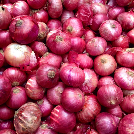 2 Pound Shallot Bulbs for Planting, Shallot Garden Vegetable Plant Bulbs