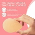 thumbnail image 2 of Impresa 10-Pack Peach Facial Sponge for Daily Cleansing and Exfoliating, 2 of 7
