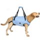 thumbnail image 1 of Arnés Elevador para Perros Coodeo Soporte de Rehabilitación para Mascotas XS, 1 of 6