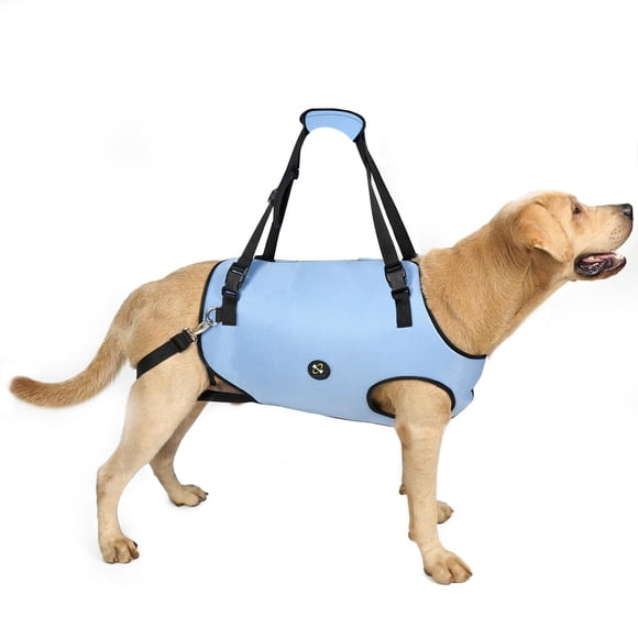 Arnés Elevador para Perros Coodeo Soporte de Rehabilitación para Mascotas XS
