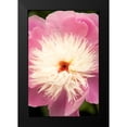 thumbnail image 2 of Millet, Karyn 13x18 Black Modern Framed Museum Art Print Titled - Pink and White Peony I, 2 of 5