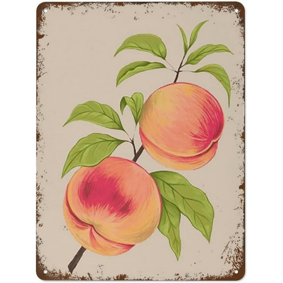 Vintage Peach Wall Art Peach Art Peach Botanical Drawing Fruit Art Wall Art Decor Wall Art Peaches Vintage Flower decoration Guest Wall Decor Art Sign8x12inch