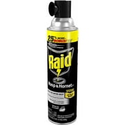 Raid - Raid Wasp and Hornet Spray- 3 Pack