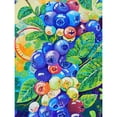 thumbnail image 1 of Diamond Painting (DE6107) Kit cuadrado 5D Uva DIY Rhinestone Art (FH309) 30x40cm Hugtrwg Para estrenar, 1 of 1