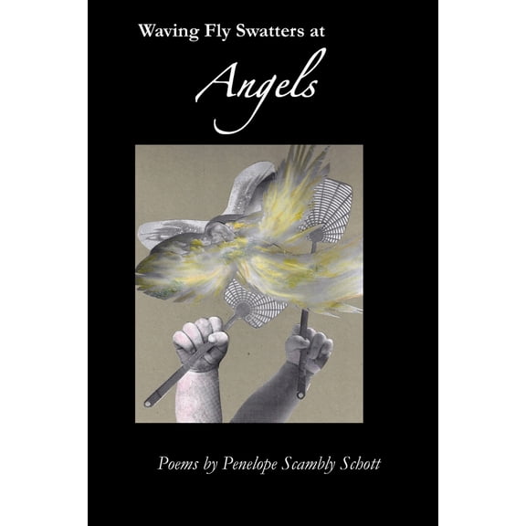 Pre-Owned Waving Fly Swatters at Angels (Paperback) 1625494130 9781625494139