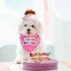 thumbnail image 5 of 2025 Dog Cat Birthday Hat and Bandana Costume Accessories for Dogs Cats Birthday Party Gifts for Cat and Dogs, 5 of 5