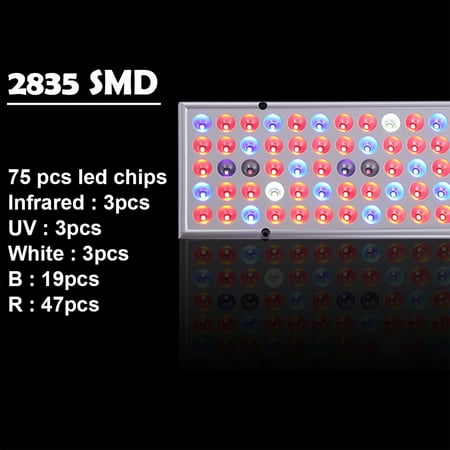 

Home 25W Led Light For All Indoor Light Growth Lamp