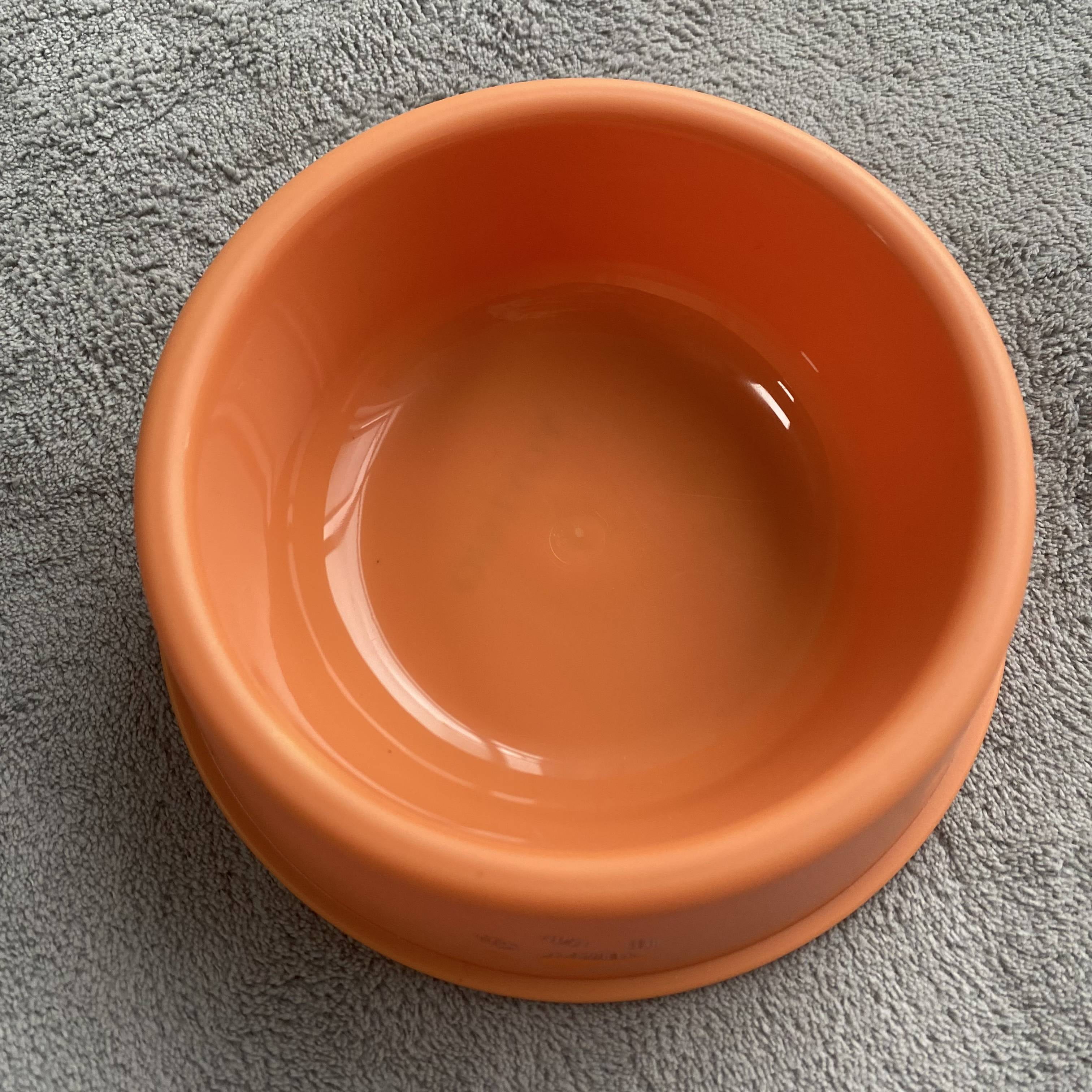 YOYDHO Raised Cat Bowls for Food and Water , Protect Pet's Spine, Porcelain Slanted DishesCat