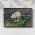 thumbnail image 2 of Vintage Botanical Print-LX By Wexford Home Framed in Walnut Wood Gallery Wrapped Canvas 25 in. x 37 in., 2 of 7