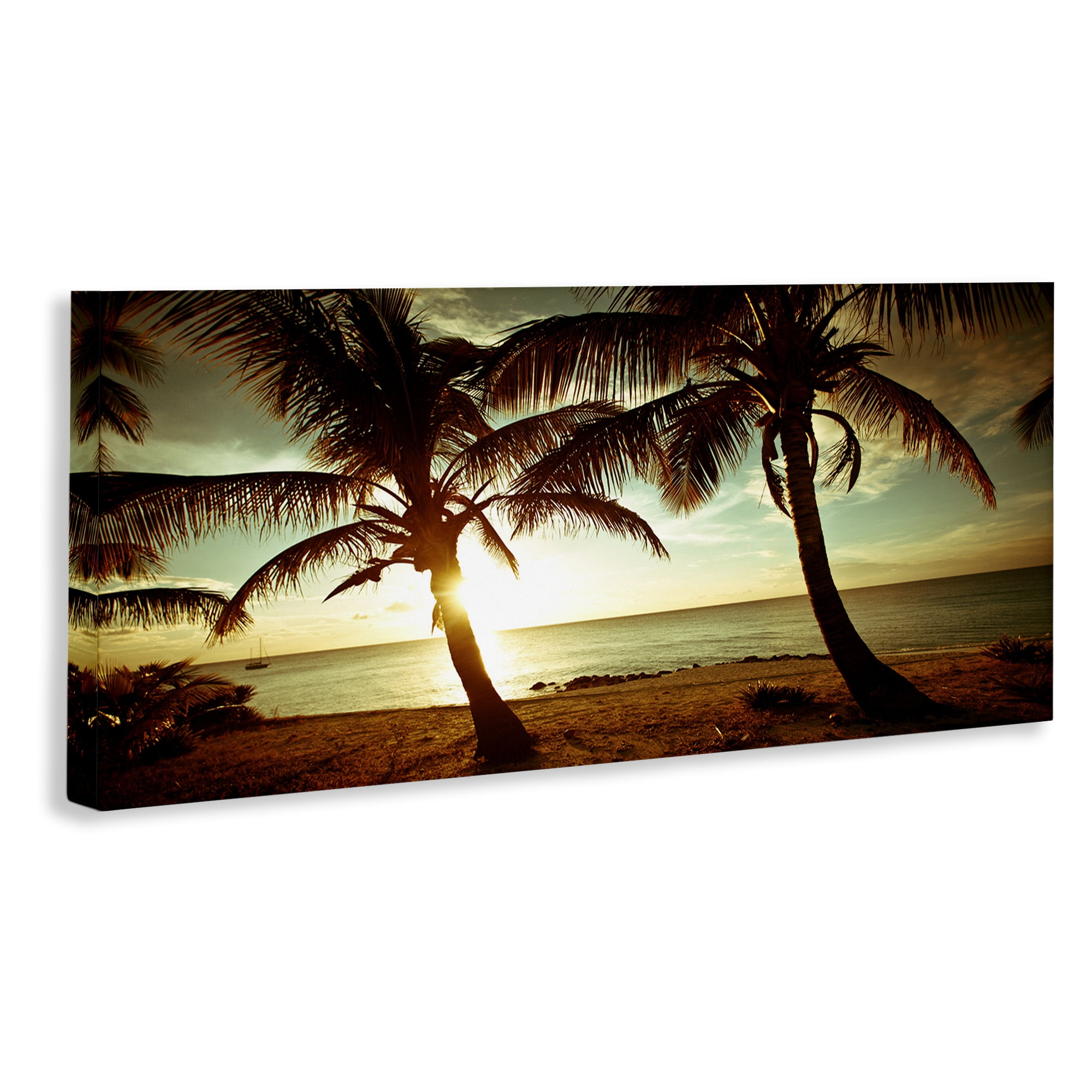 Stupell Industries Sunlit Palm Trees Coastal Photography Gallery Wrapped Canvas Art Print Wall Art, 48 x 20