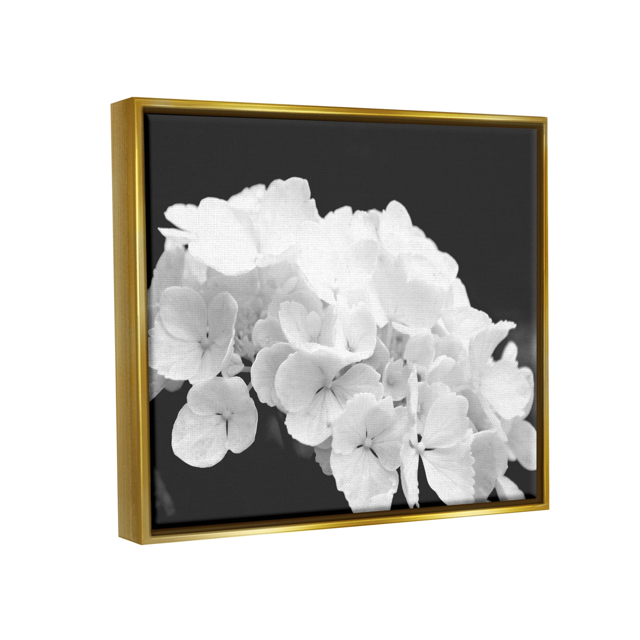 Delicate White Hydrangea Petals Botanical & Floral Photograph Metallic Gold Framed Art Print Wall Art