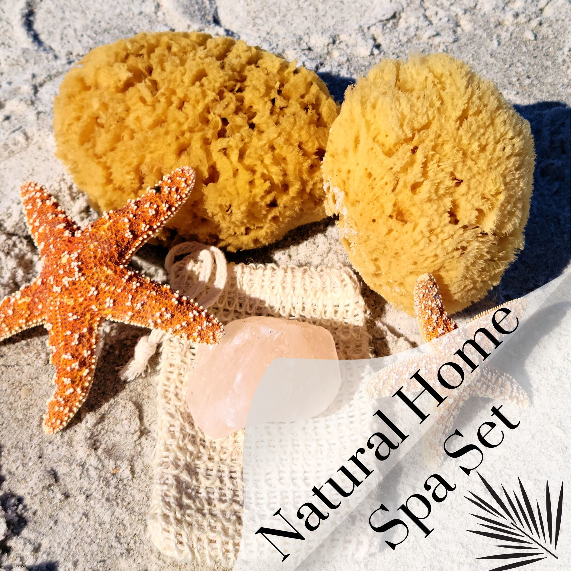 Natural Bath Sea Sponge – Toups and Co Organics