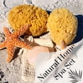 thumbnail image 2 of Sea Sponge 5&rdquo; Natural Bath Sponge Set, Sea Sponges - Organic Natual Loofah Sponge - Sustainably Hand-Cut, Large Himalayan Salt Chunk, Soap Saver Bag, Zero Waste Gift Set (Natural Sponge - 2, 2 of 7