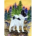 thumbnail image 1 of Carolines Treasures SS8194GF Drapeau Papillon - Taille du Jardin, 1 of 3