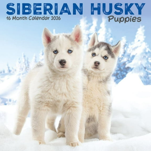 Carousel Calendars, Siberian Husky Puppies 2026 Mini Wall Calendar
