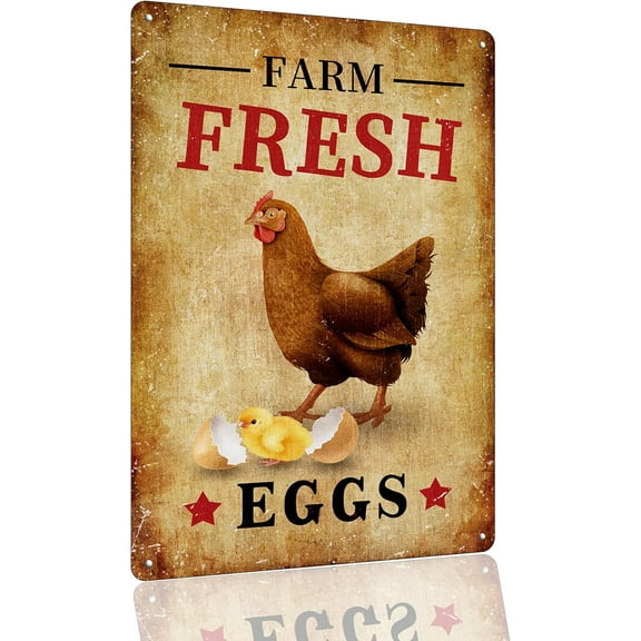 Farm Fresh Eggs Tin Signs - Vintage Country Chicken Hen Rooster Tin Signs Funny Chicken Coop Metal Signs Outdoor Chicken Decor For Chicken Lovers Chicken House Decor Plaque Gift 8×6 Inch
