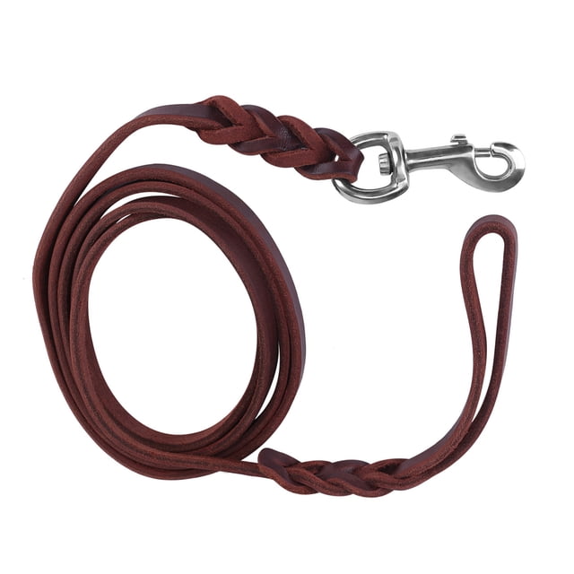 3 Types de Laisse pour Animaux de Compagnie, Laisse en Cuir avec Cordon pour la Marche, la Course, la Formation Interactive, les Fournitures pour Animaux de Compagnie, Accessoires