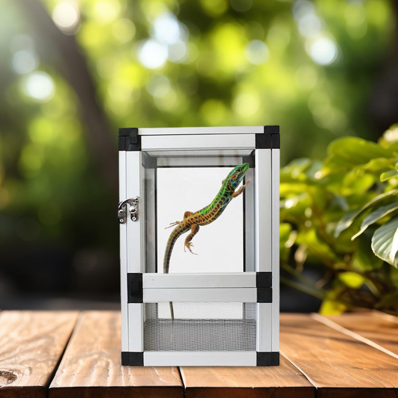 balikha Reptile Terrarium Sturdy Habitat Gecko Tank for Frog Chameleon Small Turtles Argent