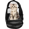thumbnail image 2 of Pet Carrier Cat Cattier Soft-Sided Carriers for Small Medium Cats Dogs Puppies Pet Carrier Airline Approved Cat Dog Pet Travel Carrier, Black, 2 of 6