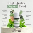 thumbnail image 6 of Pranarom Provence Cypress Organic Essential Oil Diffusion Blend, 6 of 7
