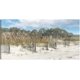 thumbnail image 1 of Cuadro Decorativo | Fine Art Tj | A Lo Largo De Las Dunas Por Studio Arts - 137 x 71 cm Fine Art Tj Impresión en canvas, estrechado, 1 of 2