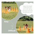 thumbnail image 4 of Trixie Dog Agility Hurdle Cone Set, Portable Canine Agility Training Set, 6 Exercise Cones with 3 Agility Rods, 4 of 7