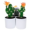 thumbnail image 3 of Adornos de Cactus artificiales, decoraciones de Cactus falsos, decoración del hogar, 3 uds., 3 of 5
