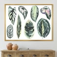 thumbnail image 2 of Designart 'Tropical Calathea Leaves On White' Bohemian & Eclectic Framed Canvas Wall Art Print, 2 of 5