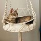thumbnail image 4 of Kattgunga i Makramé Design, Beige, 4 of 5