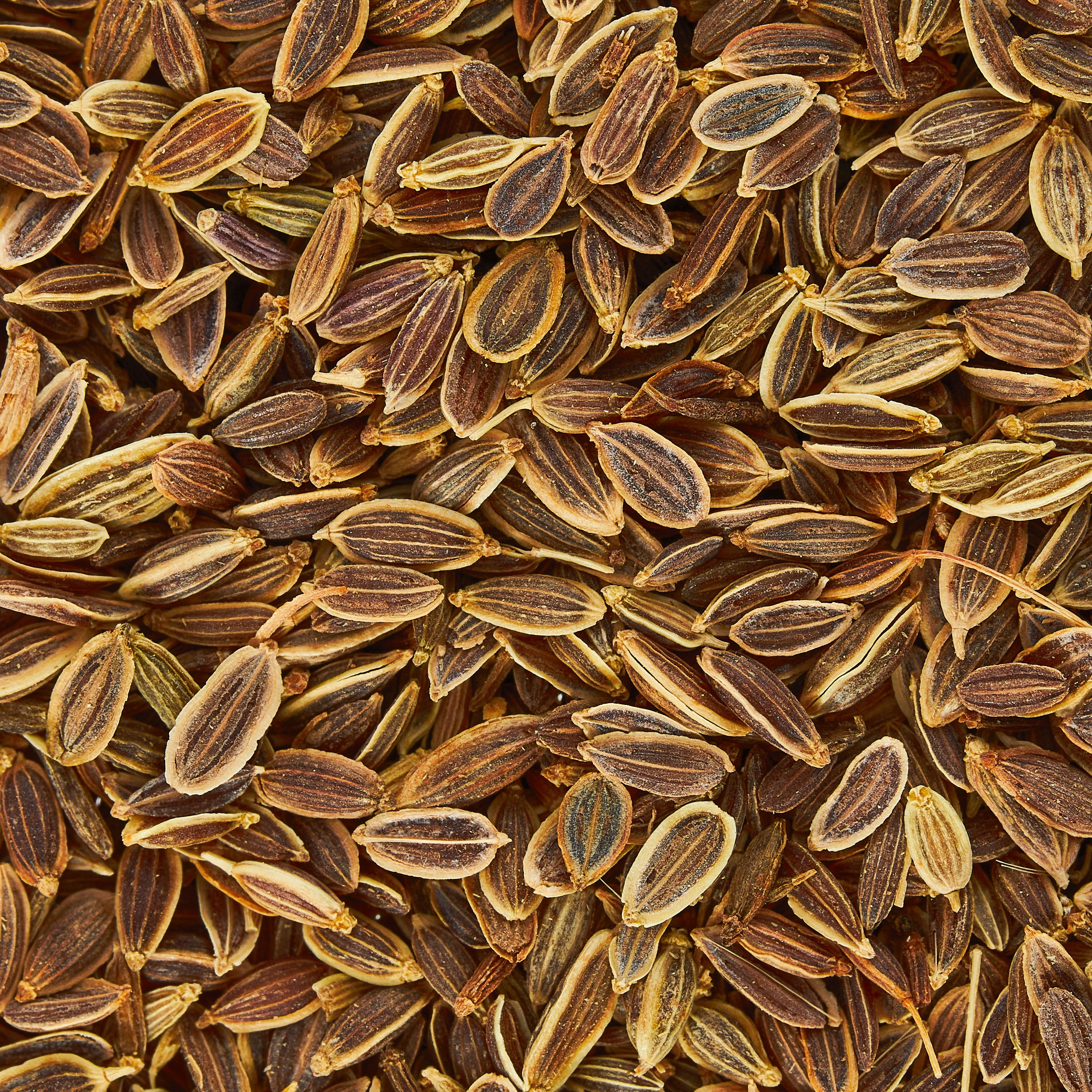 Great Value Organic Dill Seed, 1.7 oz