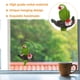 thumbnail image 3 of unbranded Adorno De Loro Colgante En Resina Para Exterior Con Acabado Durable Y, 3 of 8