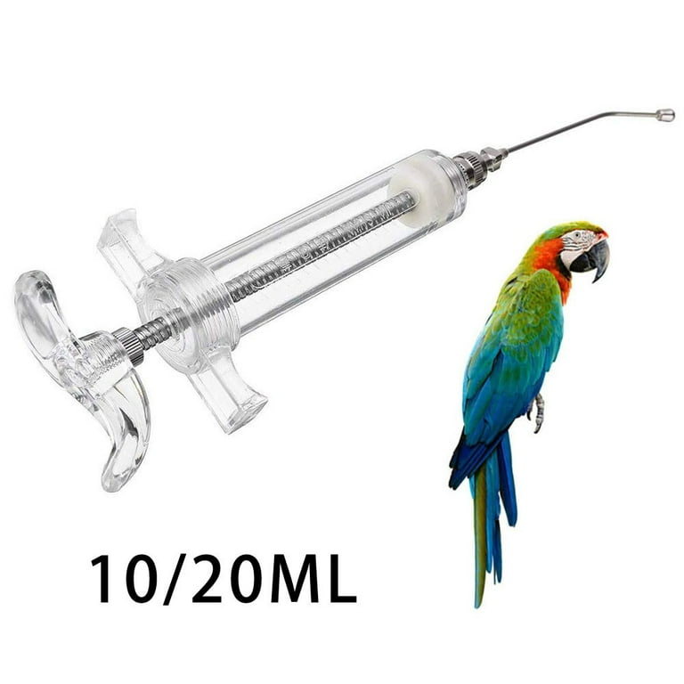 Parrot hand cheap feeding syringes