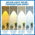 thumbnail image 5 of HIBIBUD 4Pcs GU5.3 Halogen Light Bulbs,35W 12V MR16 Candle Warmer Lamp Bulb,2 Pin Light Bulb for Candle Warmer Lamp,Light Bulb for Candle Warmer Lamp Scented Lamps,Oil Warmers, 5 of 7