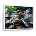thumbnail image 2 of Designart "Dragonfly Dance in Blue Hues I" Animals Framed Wall Art - Modern Farmhouse Blue Dragonfly Bedroom Framed Canvas Wall Art, 2 of 6