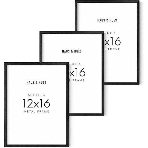 Haus and Hues Black Frames For Posters Set of 3 Art Frames 12 x 16