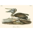 thumbnail image 2 of Audubon, John James 14x11 Gold Ornate Wood Framed with Double Matting Museum Art Print Titled - Brown Pelican, 2 of 4