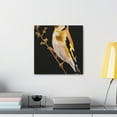 thumbnail image 6 of American Goldfinch Beauty - Canvas, 6 of 25