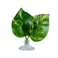 thumbnail image 1 of Decoración de plantas artificiales para tanque de reptiles, camaleón, lagarto, rana arborícola, tortuga, accesorio de terrario, plataforma para tomar el sol con ventosa, 1 of 8