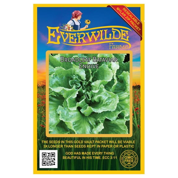 Everwilde Farms - 2000 Broadleaf Batavian Endive Seeds - Gold Vault Jumbo Bulk Seed Packet
