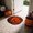 E, variant on Product Classification Carpet Bathroom Mat | Water-Absorbent Rug for Entrance to Bath Shower Area Bedroom Washable & Soft Texture