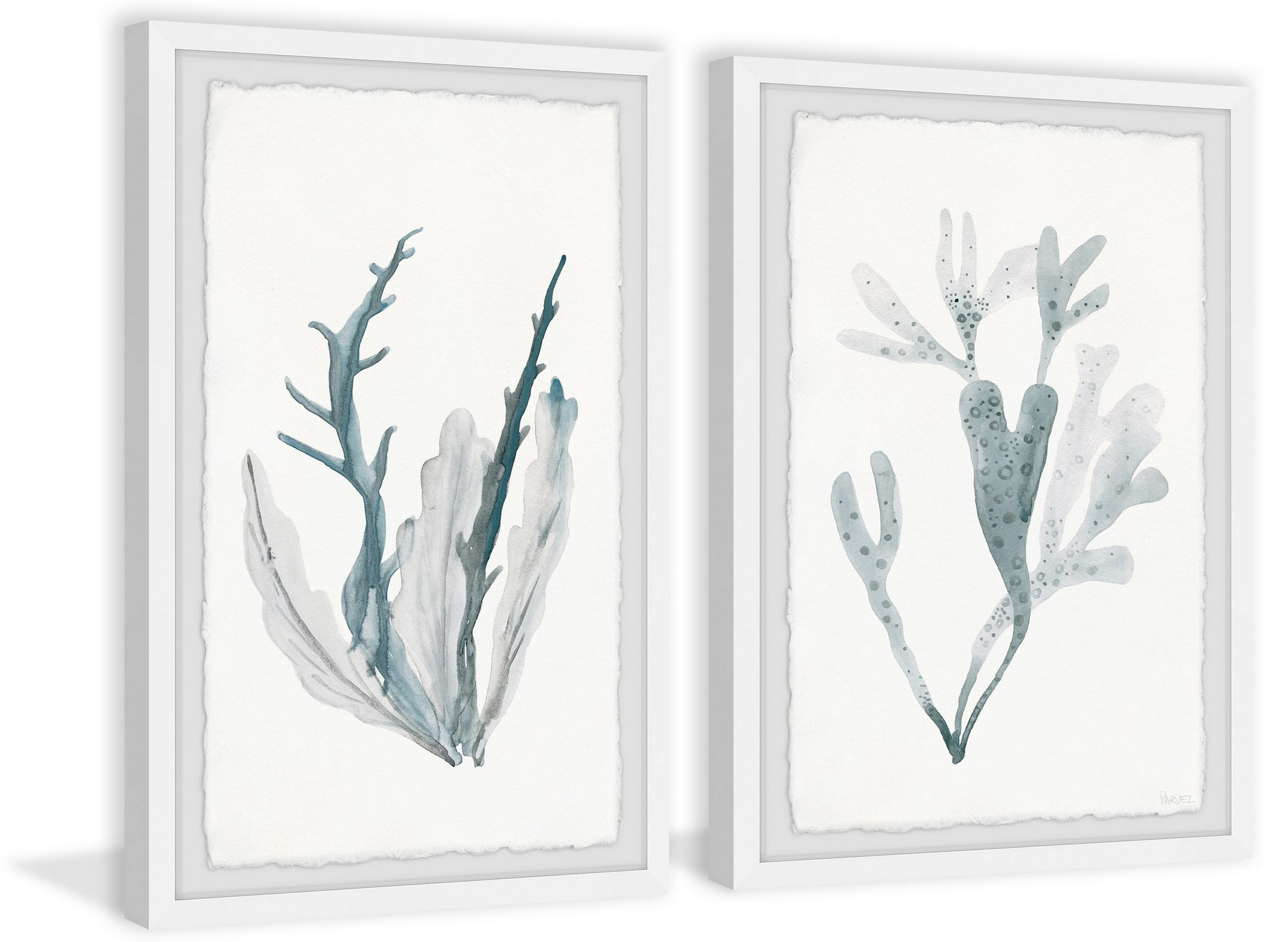 Parvez Taj Printed Animals & Insects Framed Art Prints, Set of 2