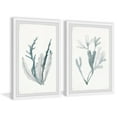 thumbnail image 2 of Parvez Taj Printed Animals & Insects Framed Art Prints, Set of 2, 2 of 6